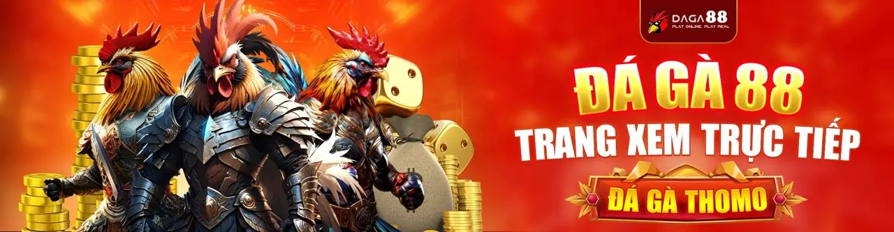 Sân đấu đá gà trực tuyến sôi động với mã sportsbet